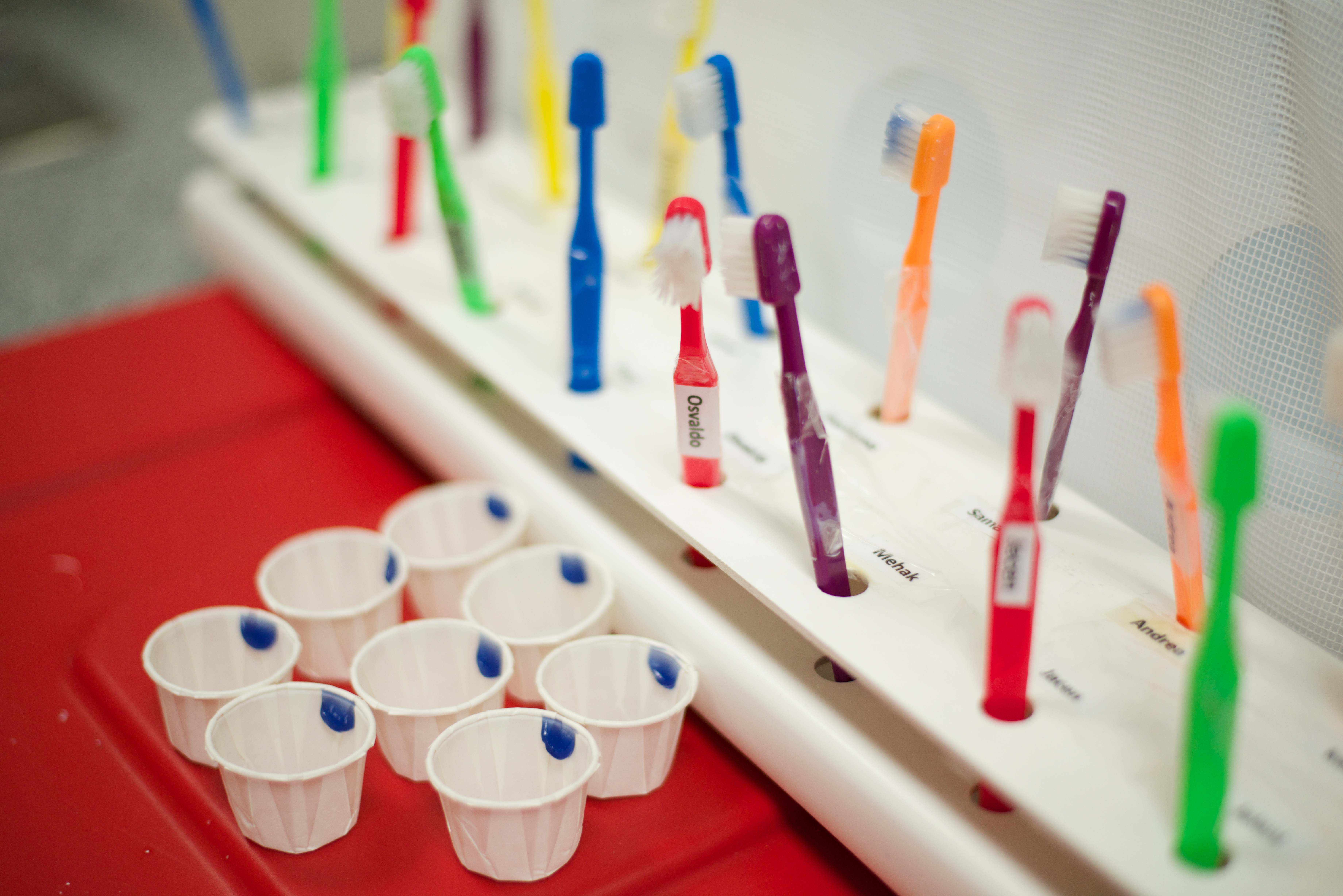 Una bandeja de cepillos de dientes para niños cuidadosamente organizados.