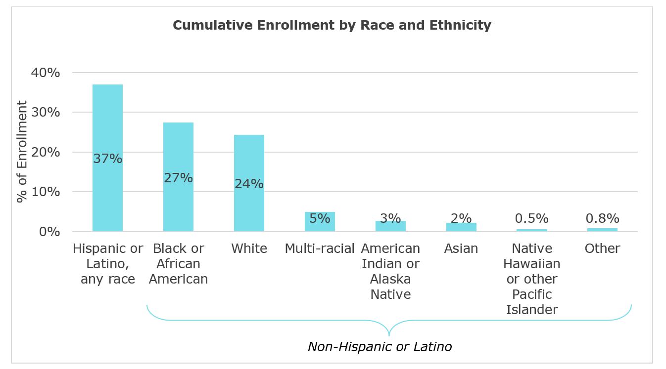 Graphic displaying cumulative enrollment by race and ethnicity.