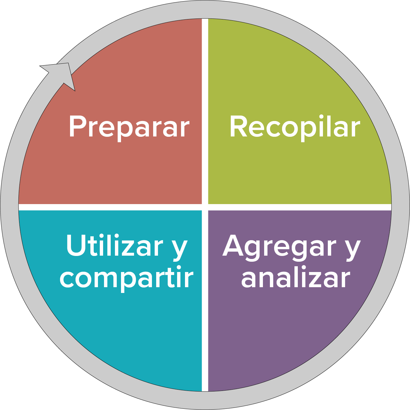 Un círculo dividido en cuatro partes para cada una de las cuatro actividades de datos.