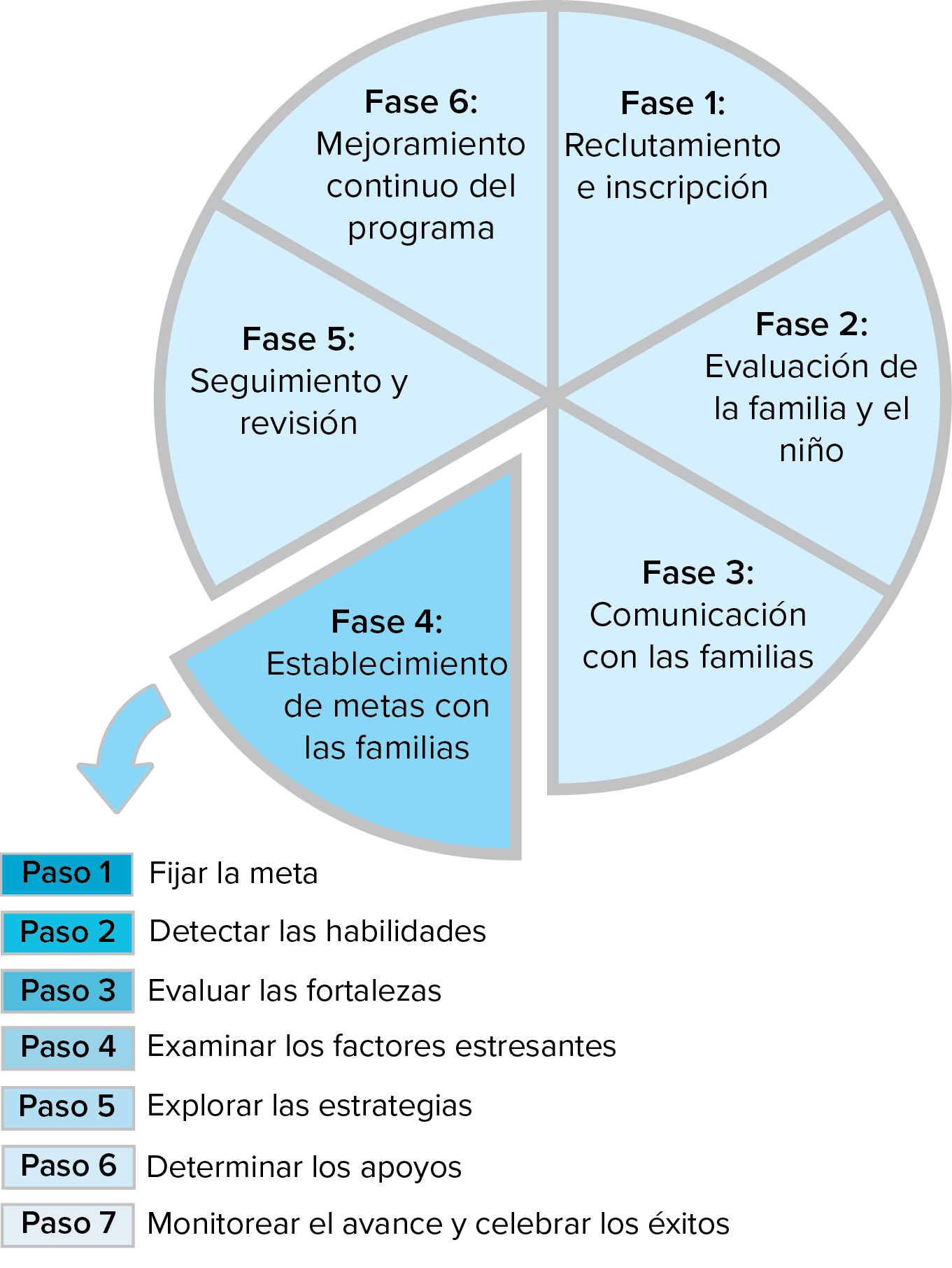 Gráfico circular que muestra seis fases y siete pasos como se describe en el texto en curso.