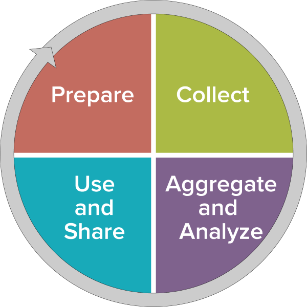 A circle broken up into four parts for each of the four data activities.