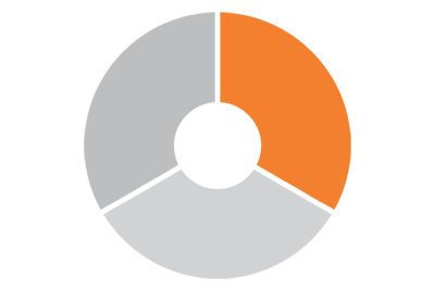 Partner pie slice