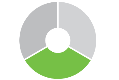 Porción del gráfico circular de Proporcionar