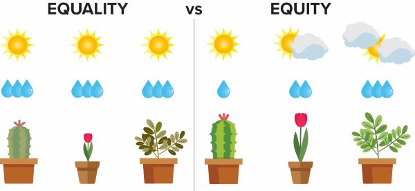 Una imagen que muestra cómo la variación de la caída de la lluvia sobre las flores dependiendo de qué tan soleado esté el día se considera equidad.