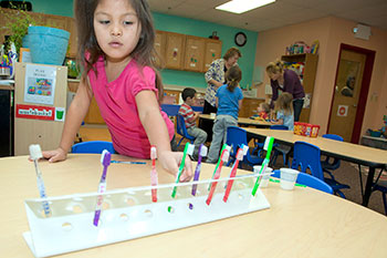 Young girl standing up several toothbrushes on a white plastic stand.