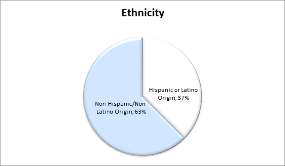 2016 ethnicity statistical data