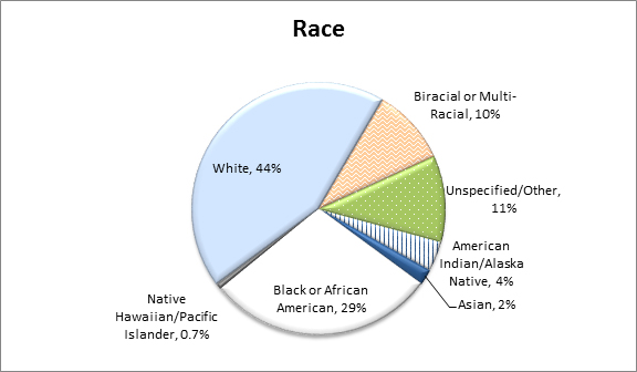 Datos estadísticos de 2016 sobre la raza