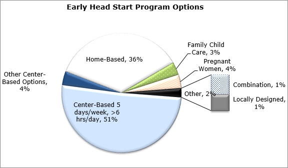 Pie chart - Early Head Start Program Options