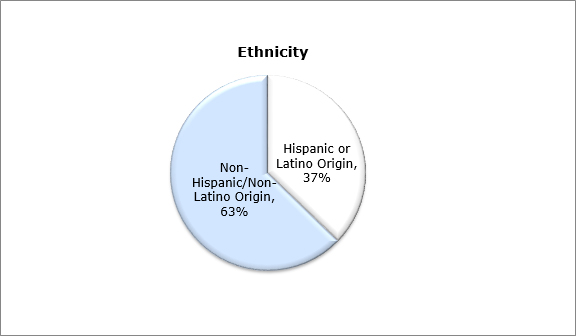 Pie chart - Ethnicity