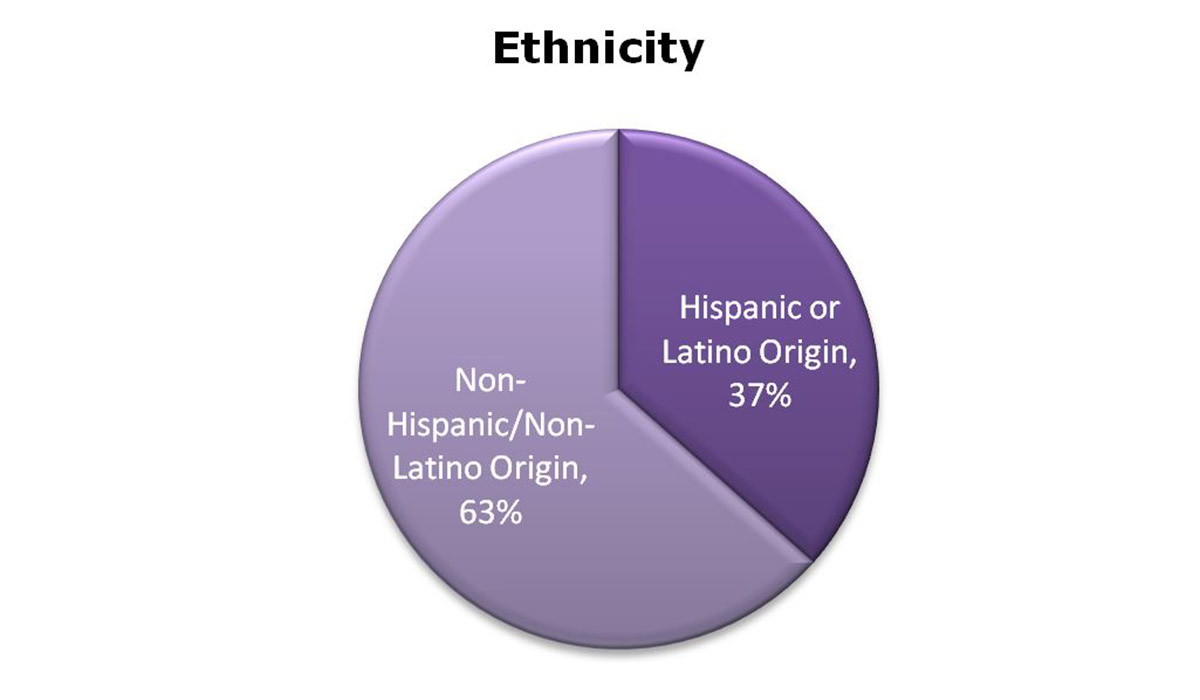 Gráfico circular que muestra el porcentaje de matrículas por raza