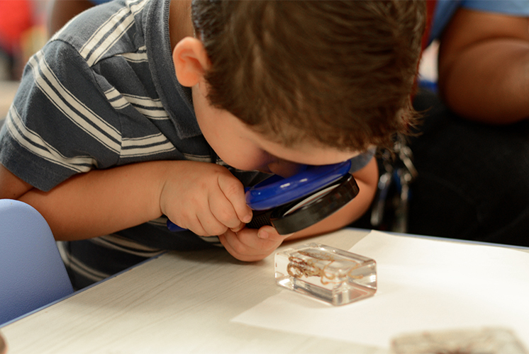 A boy examines specimen with magnifying glass