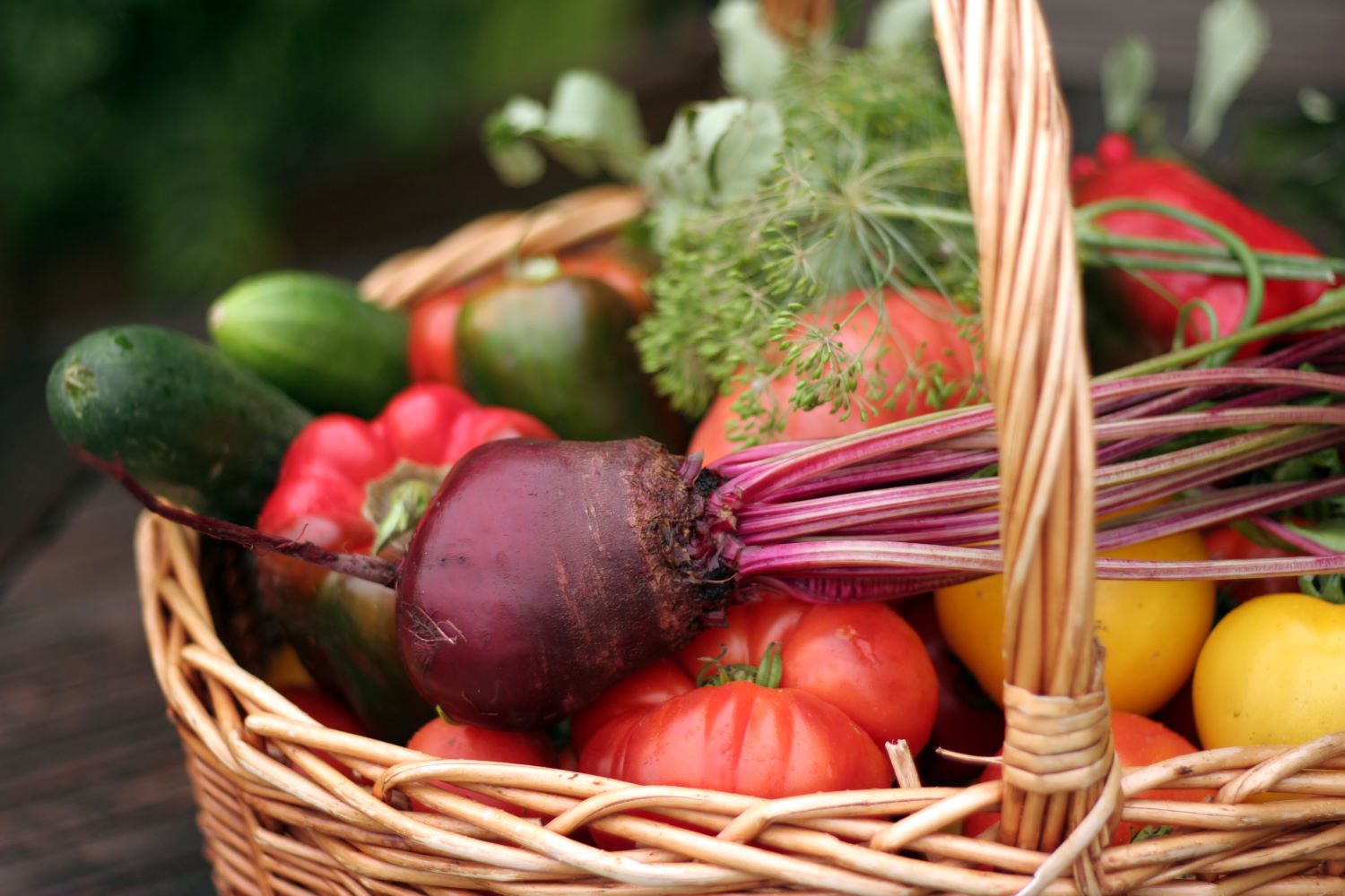 Collection of vegetables in a basket.