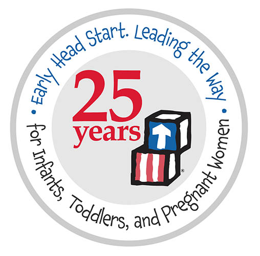 EHS 25 Years Logo