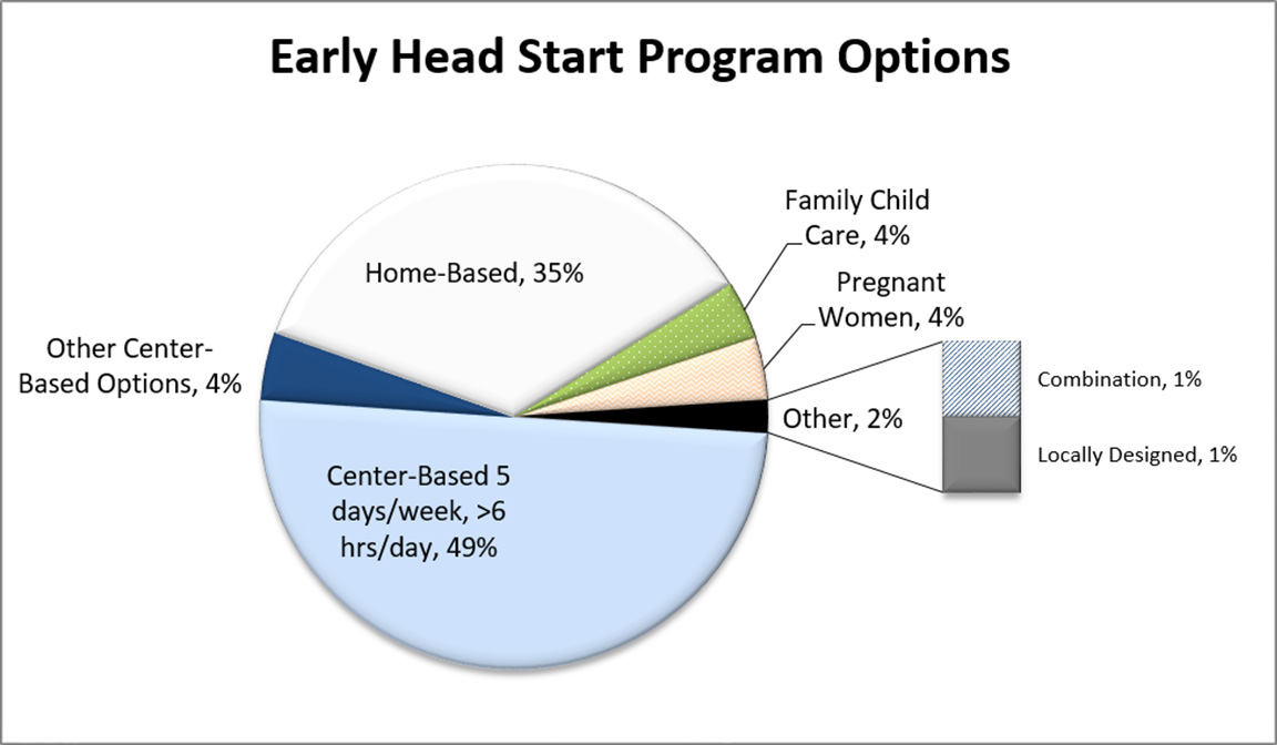 Pie chart of program options