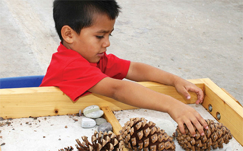 Niño jugando con conos de pino