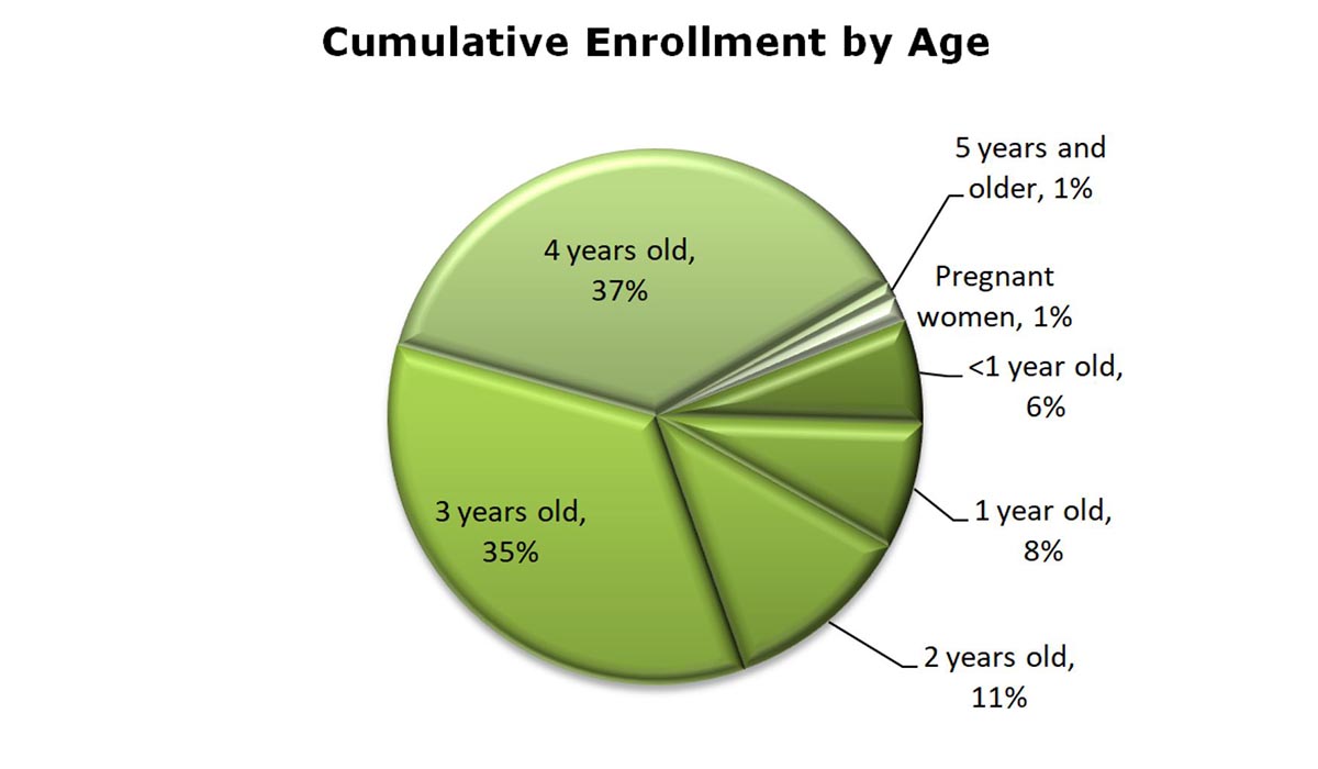 Pie chart showing percent of children in each age year starting with pregnant women, less then one year old, and ending tih 5 years old.