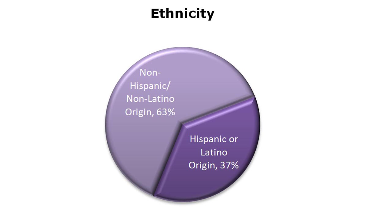 Pie chart showing enrollment divided into Hispanic and non-Hispanic, non-Latino.