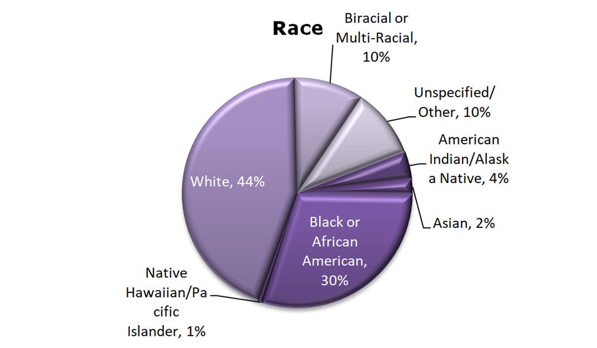 Pie chart showing enrollment for each race.