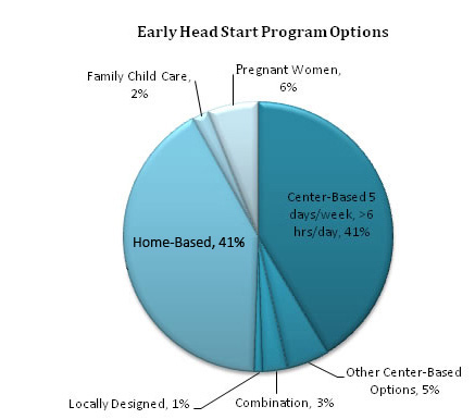 Pie chart - Early Head Start Program Options