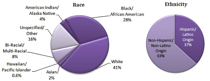 Gráfico circular - Raza/Origen étnico