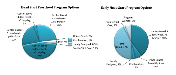 Pie chart - Early Head Start Program Options