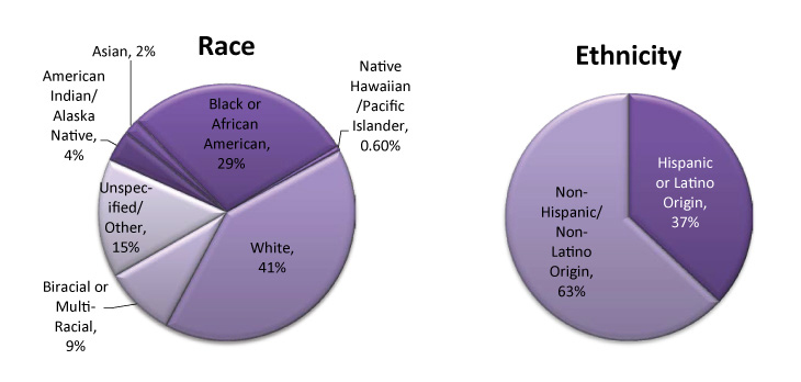 Pie chart - Race/Ethnicity