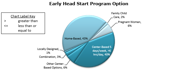 Pie chart - Early Head Start Program Options