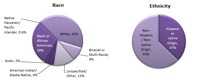 Gráfico circular - Raza/origen étnico