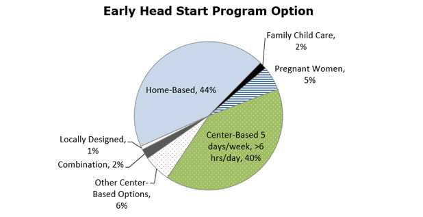 Pie chart - Early Head Start Options