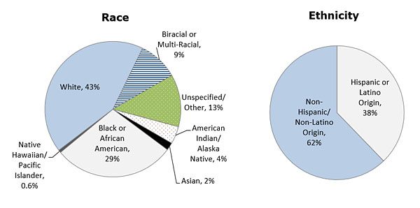 Gráfico circular - Raza/origen étnico