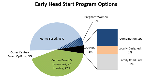 Pie chart - Early Head Start Program Options