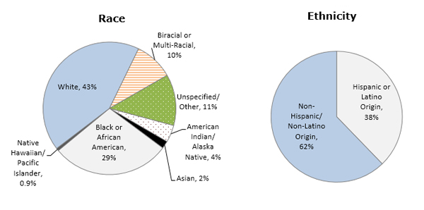 Pie chart - Race/Ethnicity