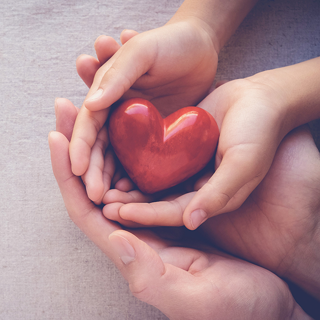 Two pairs of hands holding a heart.