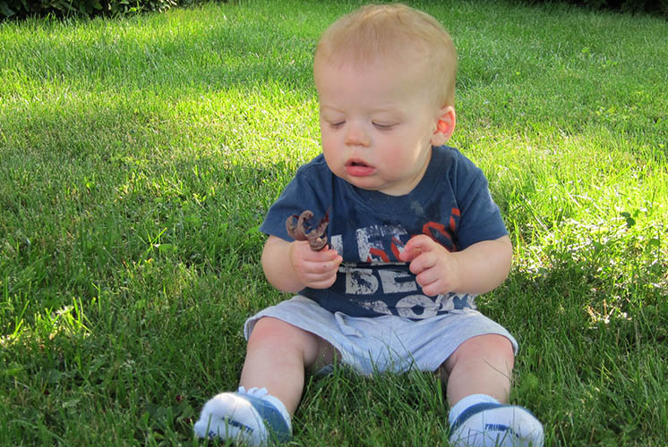 a boy sits on a grassy lawn, looking at a dried leaf