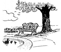 bench outside at a pond