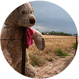 Teddy bear tied to a fence after a tornado